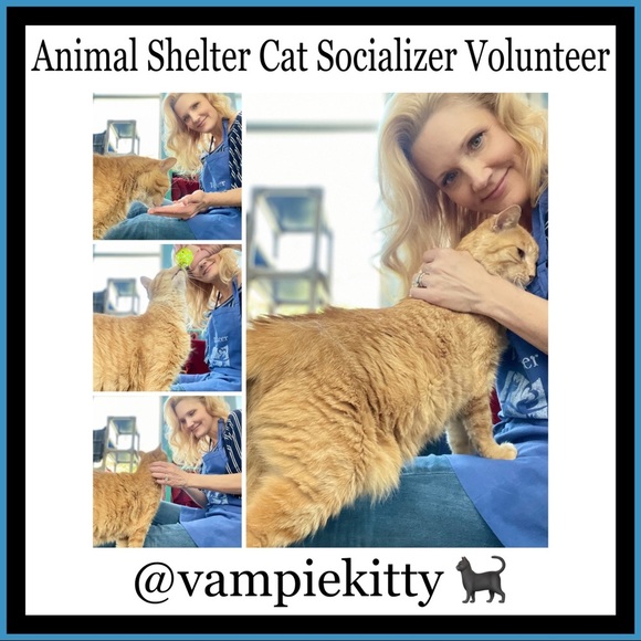 CLOSED ♥️ PFFS SEE "JUST IN" FOLLOW GAME ♥️ I Appreciate You!!! - Picture 4 of 8